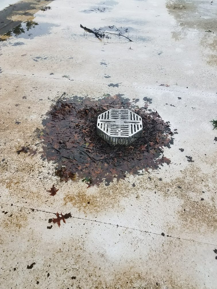 Clogged Gutter on Roof