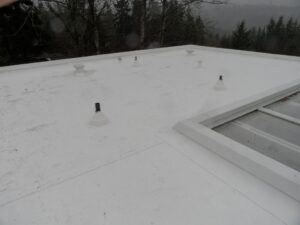 Small roof inspections
