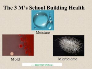 The 3 M's of Building Moisture